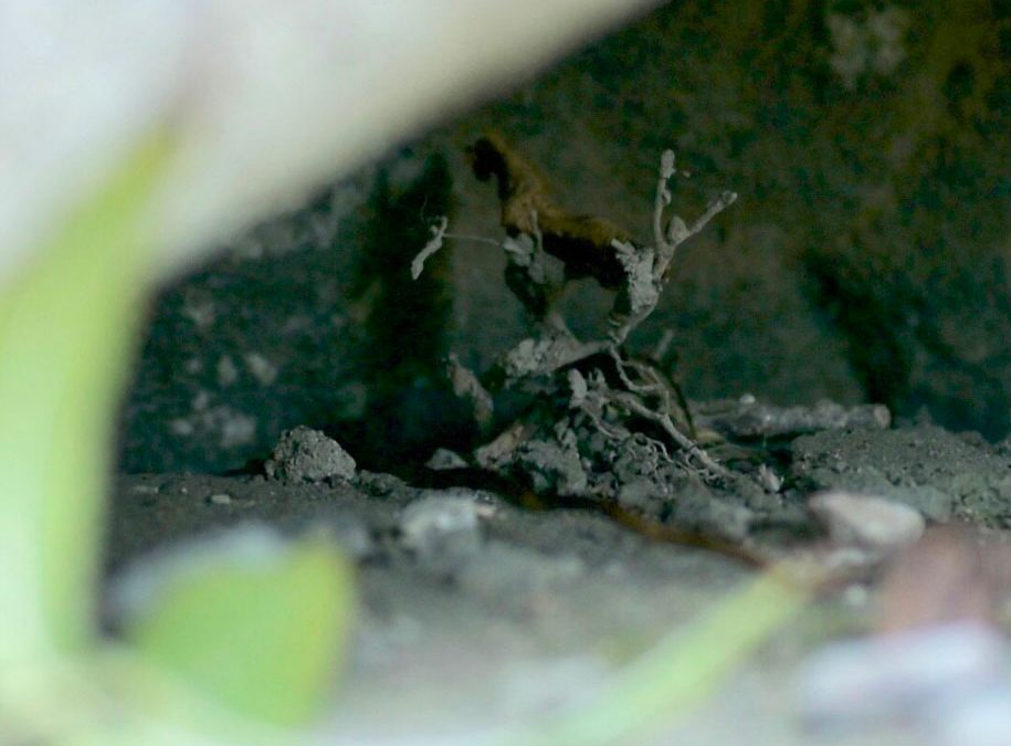 Fotografie als stiller Blick auf Abschied, Erinnerung und Neubeginn