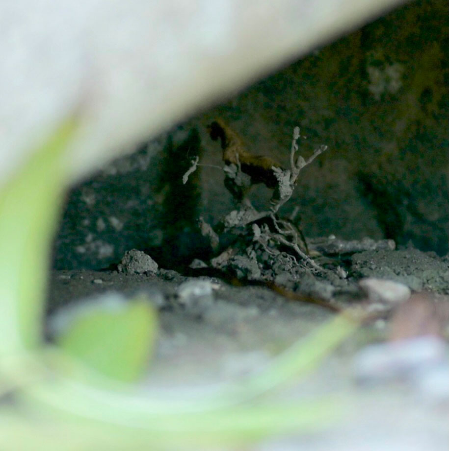 Fotografie als stiller Blick auf Abschied, Erinnerung und Neubeginn