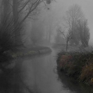 Der Bach liegt im Winter im Nebel und wirkt still und geheimnisvoll.